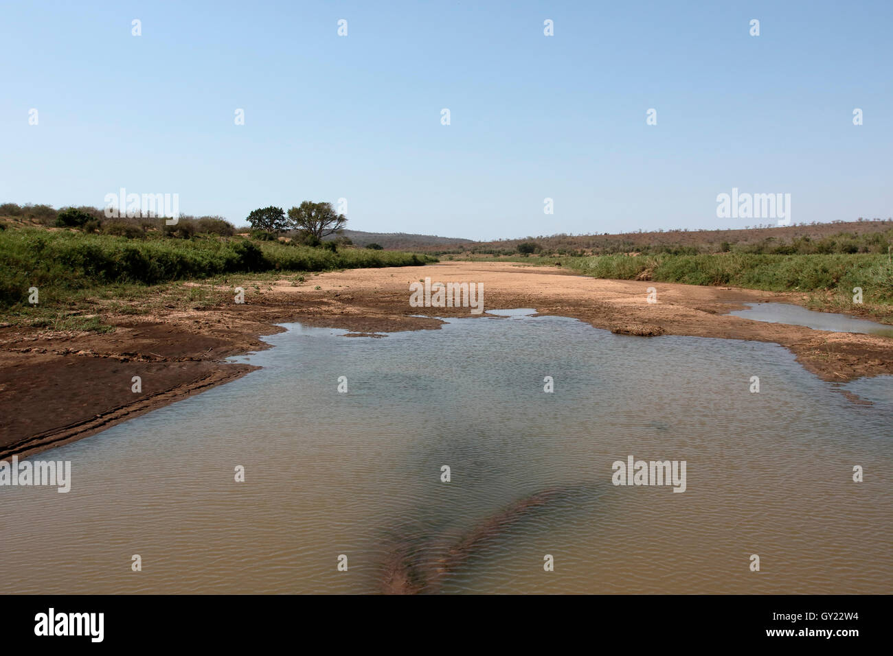 Schwarzer Imfolozi Fluß, Imfolozi Game Reserve, Südafrika, August 2016 Stockfoto