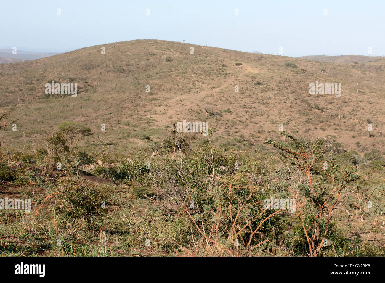 Hluhluwe Game Reserve, Südafrika, August 2016 Stockfoto