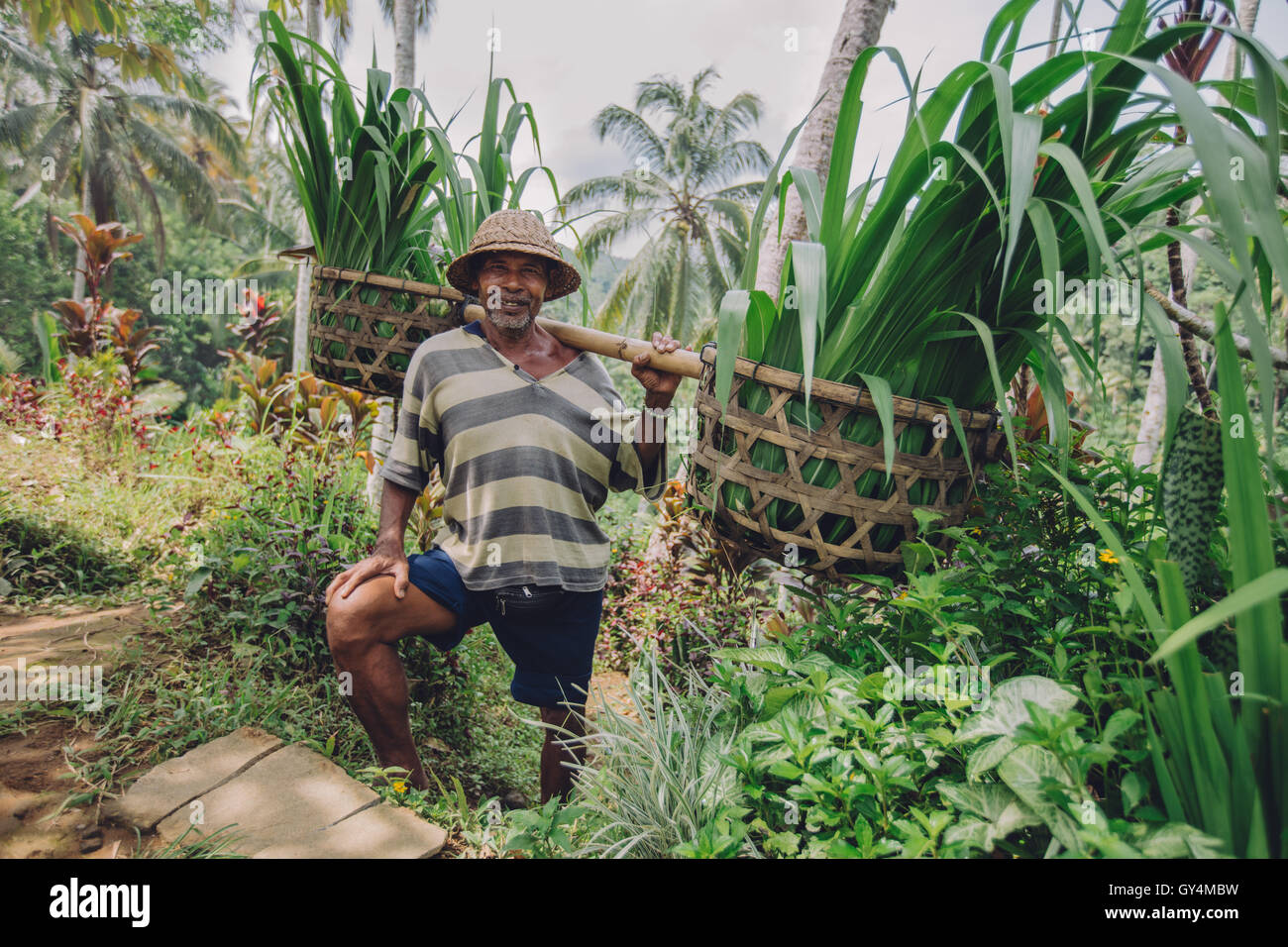 Alter erschossen Sie Mann mit Sämlinge auf seinen Schultern. Senior Bauer lächelnd in seiner Farm arbeiten. Stockfoto