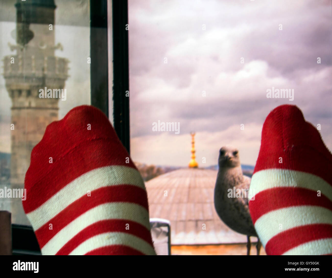Männerfüßen in gestreiften Socken auf einem Hintergrund von einem Fenster mit Blick auf die Moschee und die Möwe sitzt auf einem Fensterbrett Stockfoto