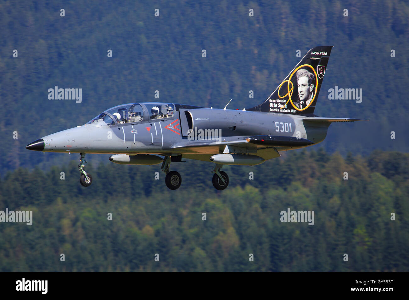 ZELTWEG, Steiermark, Österreich - 2. September 2016: Aero L-159 Alca bei Airpower 2016 in Zeltweg, Österreich Stockfoto