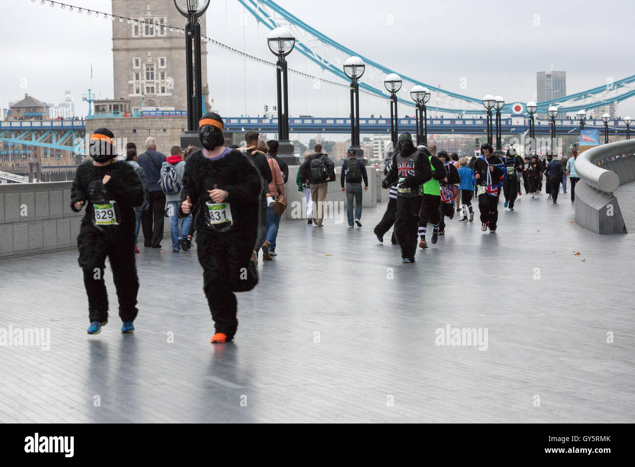 Der Great Gorilla Run ist jetzt im 14. Jahr, ein Charity-Spaß führen, die weit über £ 2 Millionen für Gorilla-Erhaltung und Armut Reduzierungsprojekte in Zentralafrika erhöht hat.   Hunderte von Menschen verkleidet als Gorillas laufen, Joggen oder gehen Sie 8km aber der City of London, Geldbeschaffung zur Rettung einer Spezies auf den Rand des Aussterbens. Stockfoto