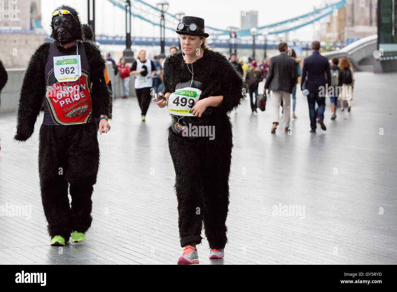 Der Great Gorilla Run ist jetzt im 14. Jahr, ein Charity-Spaß führen, die weit über £ 2 Millionen für Gorilla-Erhaltung und Armut Reduzierungsprojekte in Zentralafrika erhöht hat.   Hunderte von Menschen verkleidet als Gorillas laufen, Joggen oder gehen Sie 8km aber der City of London, Geldbeschaffung zur Rettung einer Spezies auf den Rand des Aussterbens. Stockfoto