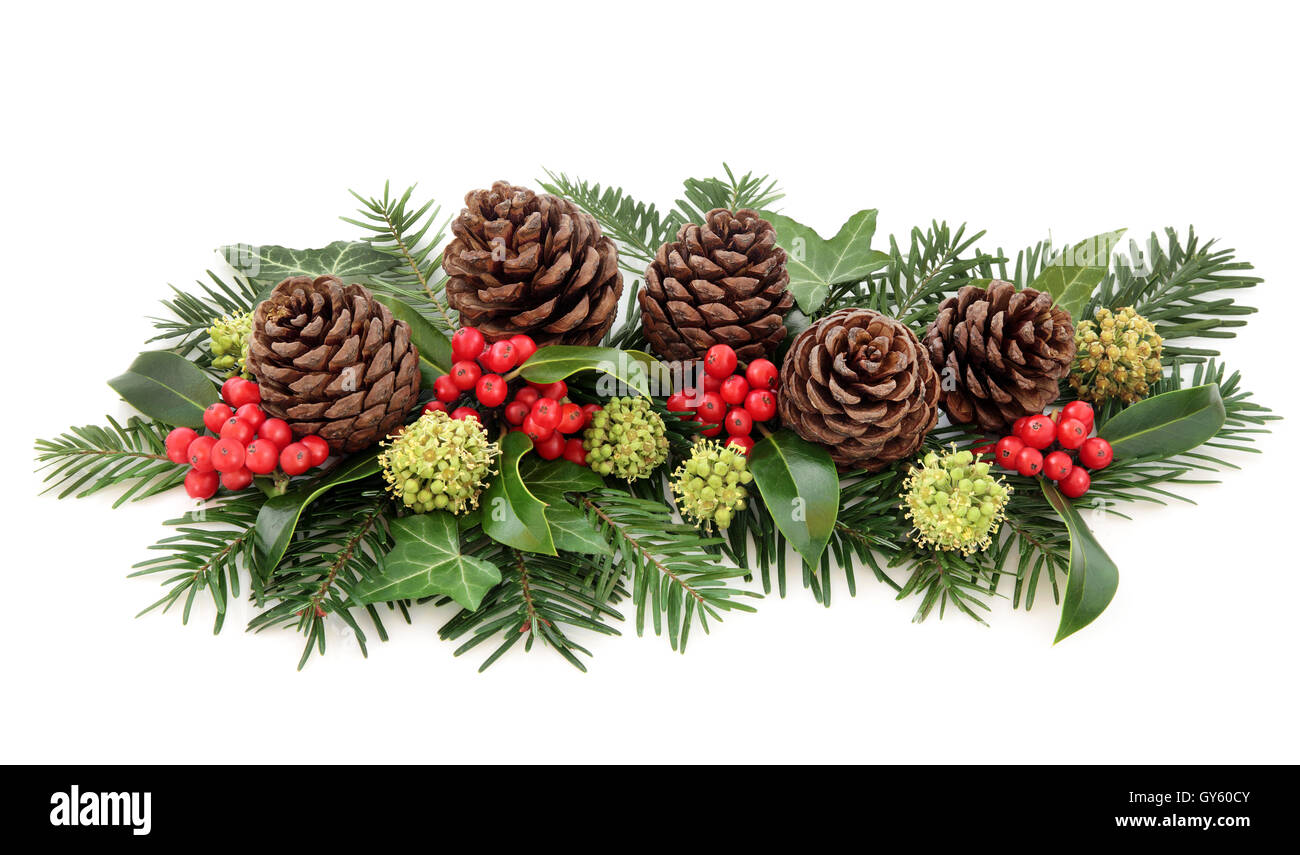 Winter Flora und Weihnachten Dekoration der Stechpalme mit roten Beeren, Efeu, Tannenzapfen und Tanne auf weißem Hintergrund. Stockfoto