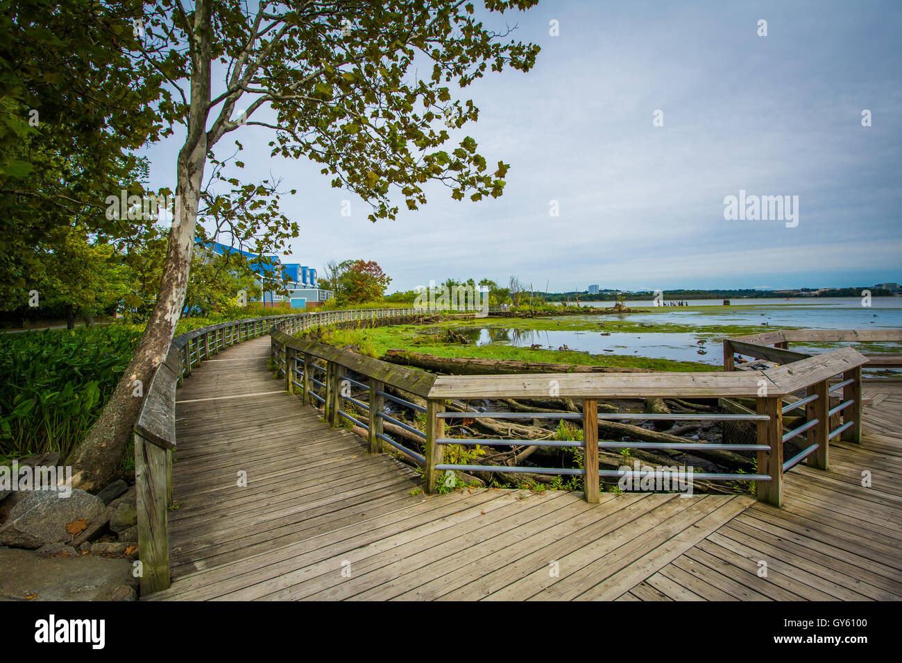 Promenade-Trail in einem Feuchtgebiet im Rivergate Stadtpark in Alexandria, Virginia. Stockfoto