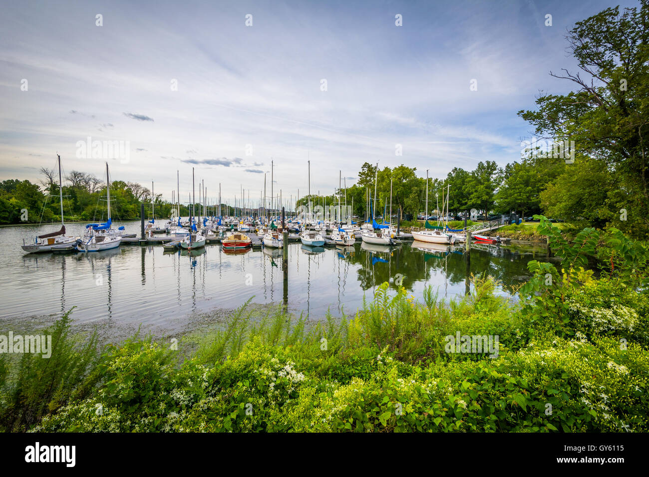 Boote am Washington Segeln Yachthafen, entlang der George Washington Memorial Parkway in Alexandria, Virginia. Stockfoto