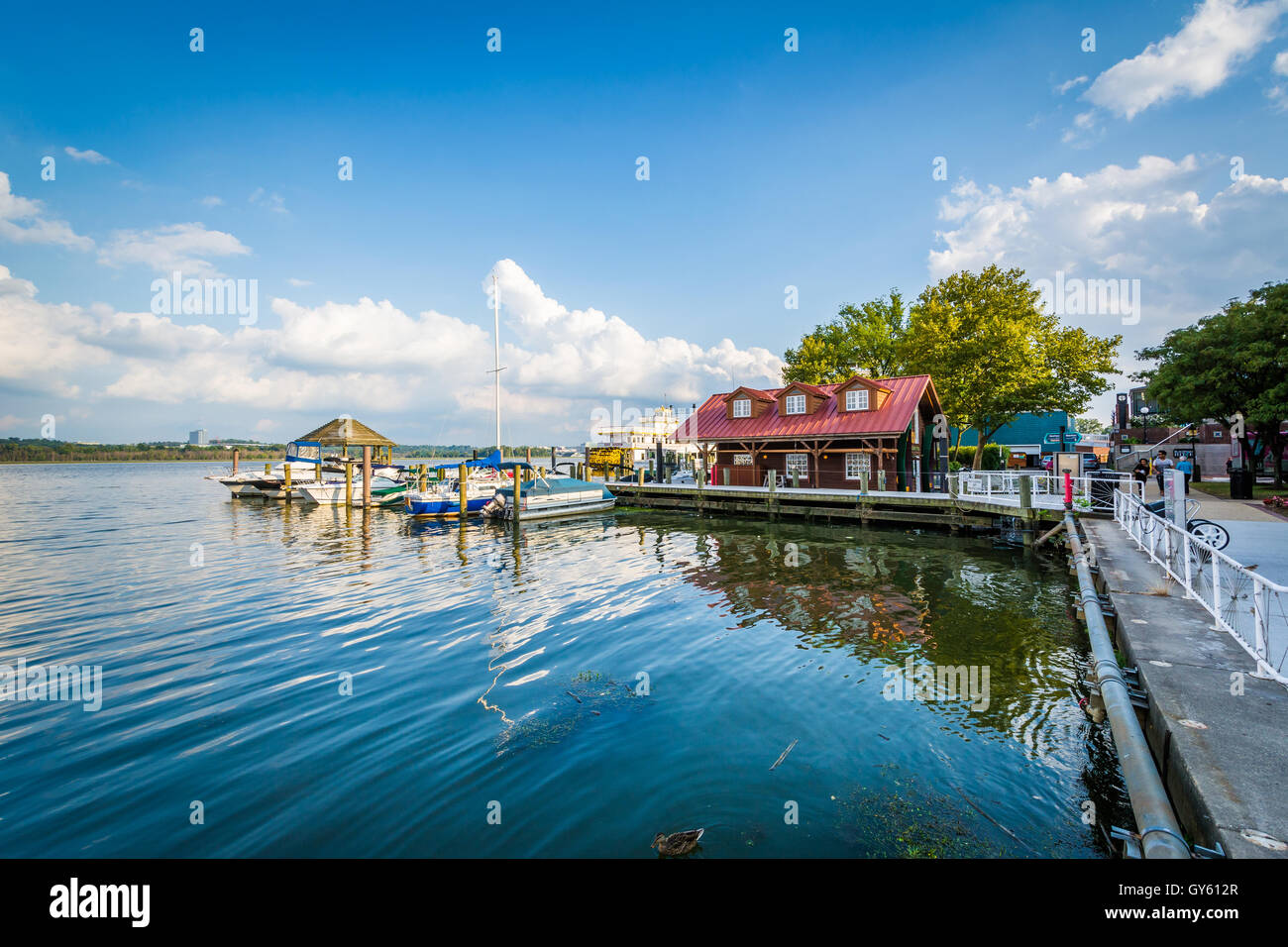 Gebäude und Docks am Potomac River-Ufer, in Alexandria, Virginia. Stockfoto