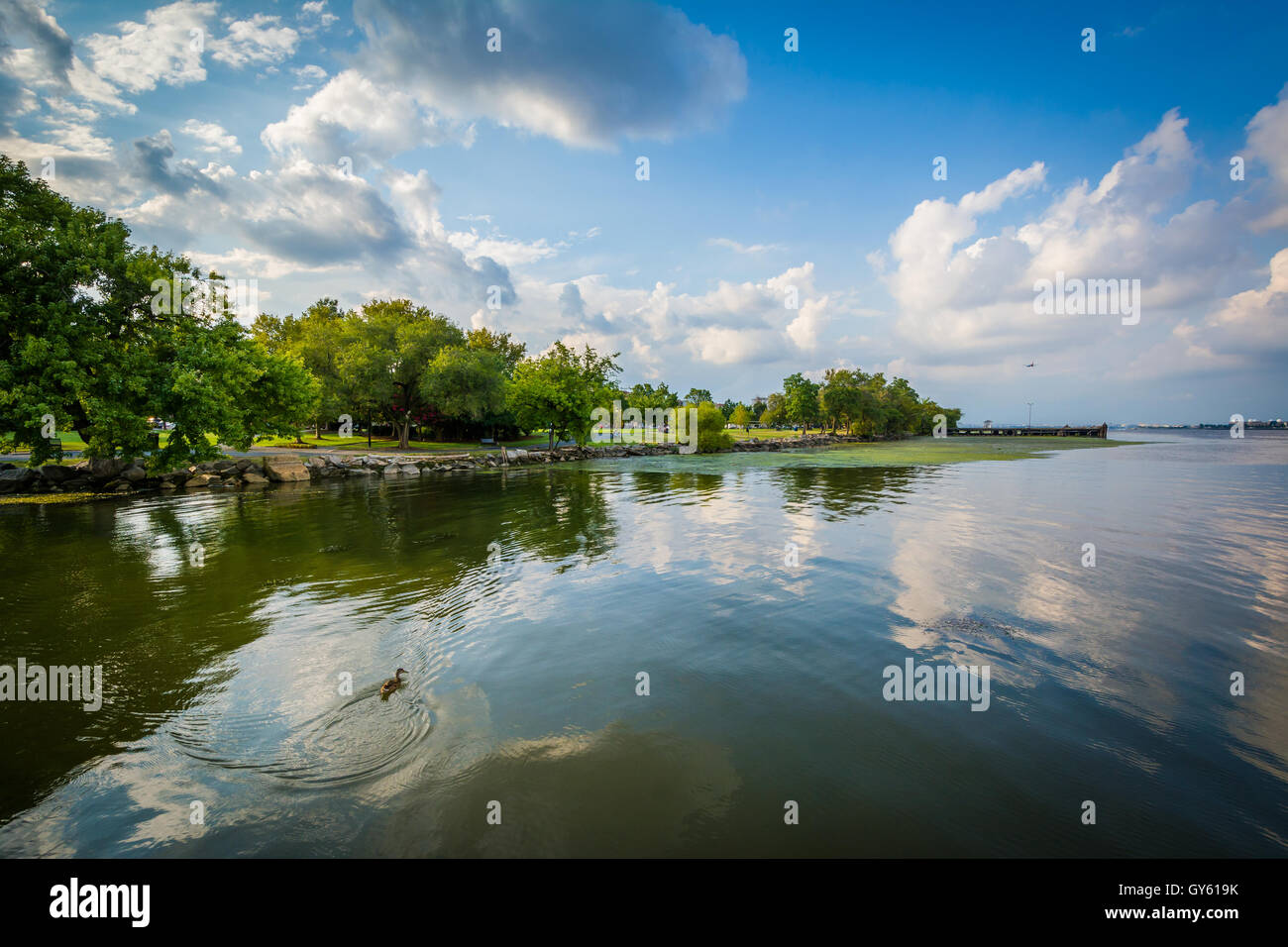 Potomac River, in Alexandria, Virginia. Stockfoto