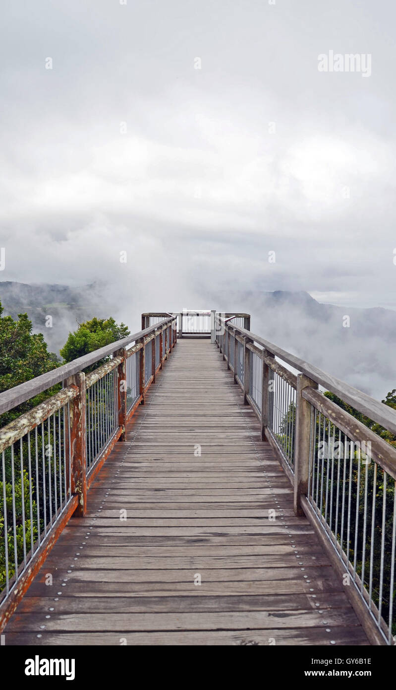 Ätherisch Holzsteg Brücke führt zu niedrigen Wolken über Bergen im Dorrigo National Park, New-South.Wales, Australien Stockfoto