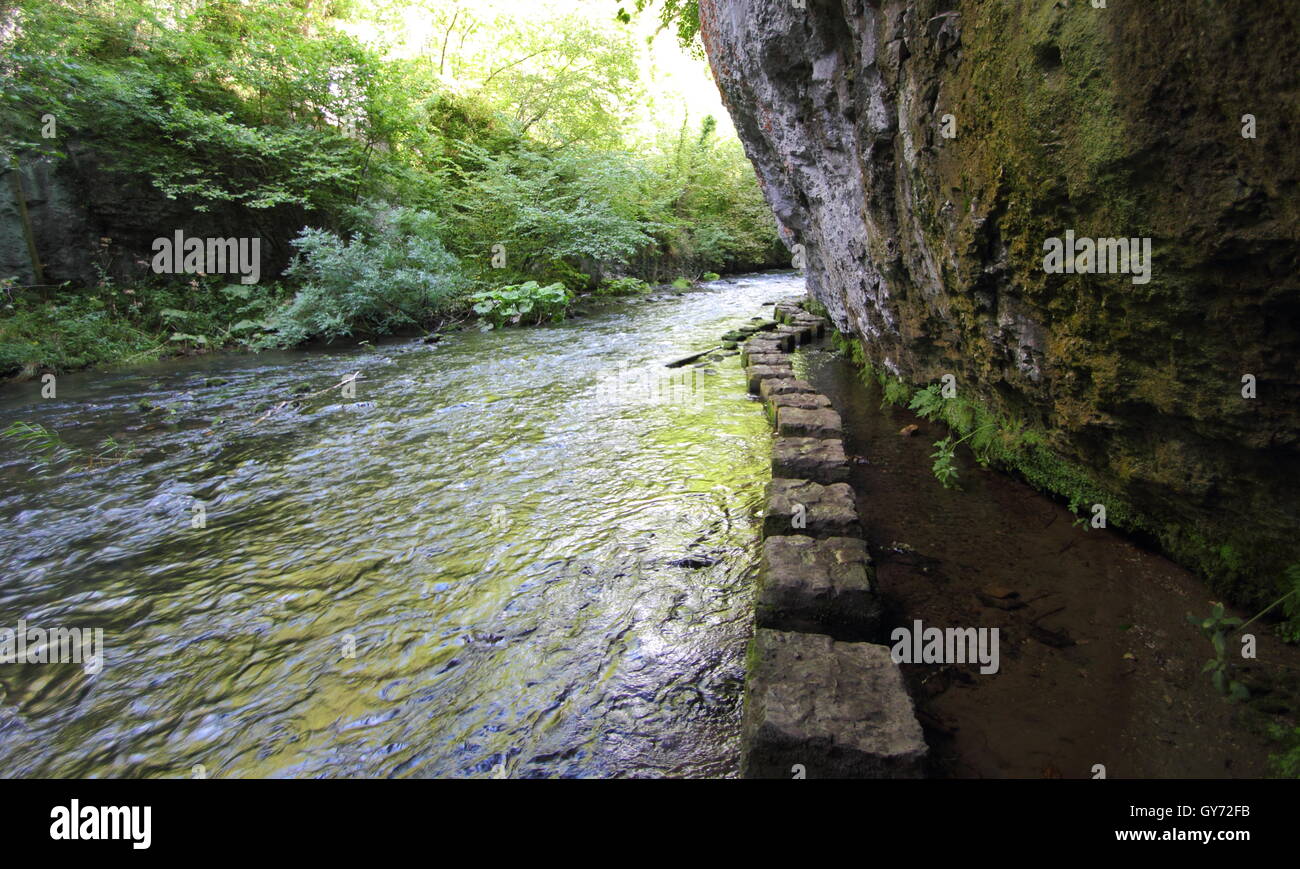 Trittsteine entlang des Flusses Wye in Chee Dale, eine spektakuläre Kalkstein Schlucht, Peak District National Park, Derbyshire, UK Stockfoto