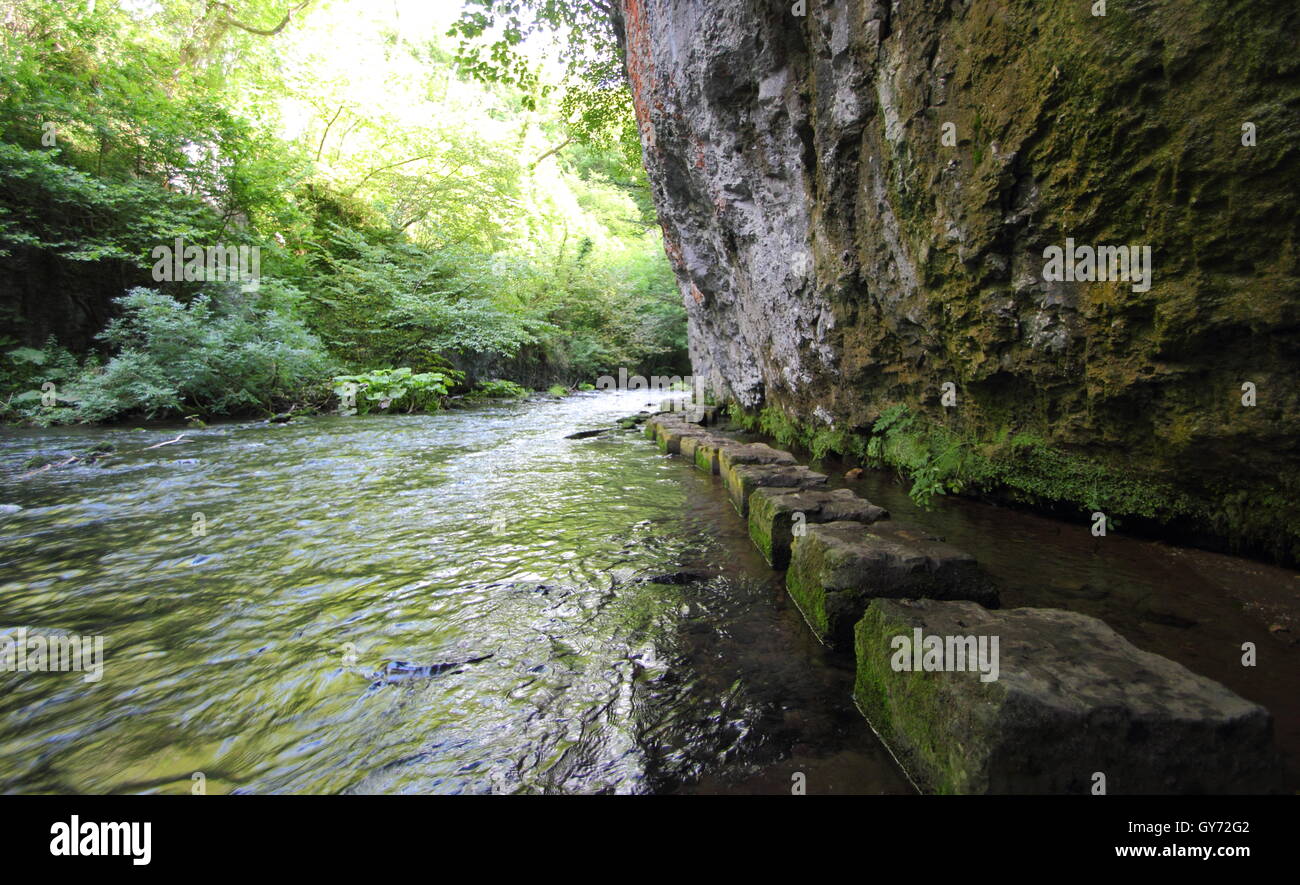 Trittsteine auf dem Fluss Wye in Chee Dale, einer spektakulären Kalkstein-Schlucht in den Peak District National Park, England, UK Stockfoto