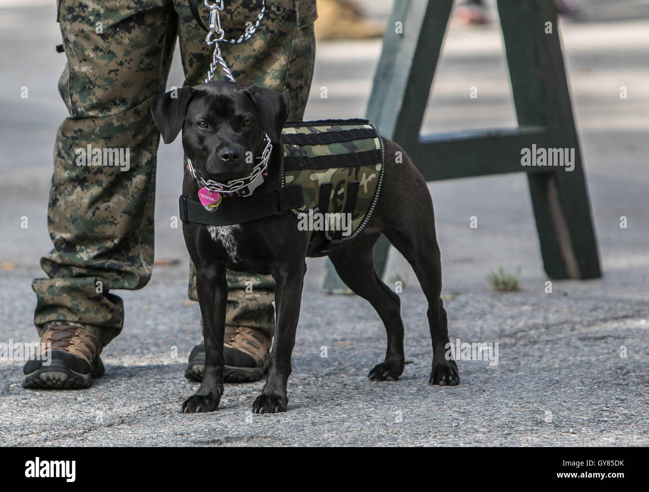 New York, 17. September 2016. Der Beginn der Silkies Wanderung. Die Veranstaltung zielt darauf ab, das Bewusstsein der posttraumatischen Belastungsstörung und der Suizidprävention unter uns Veteranen zu erhöhen. Die Menschen, die in den US-Streitkräften gedient haben. März 22 Kilometer mit 22 Kilogramm Gewicht. Credit: Roman Tiraspolsky/Alamy leben Nachrichten Stockfoto
