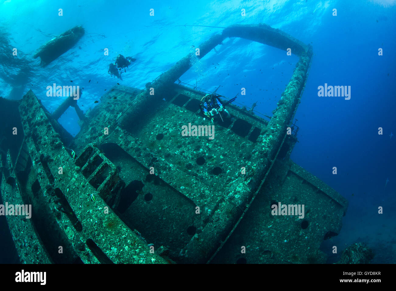 Unterwasser Fotografie und Taucher das Wrack erkunden, Giannis D, im Roten Meer vor der Küste von Ägypten. Stockfoto