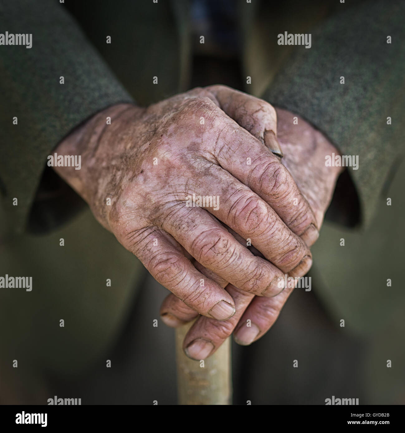 Hände eines älteren Mannes auf Zuckerrohr Stockfoto
