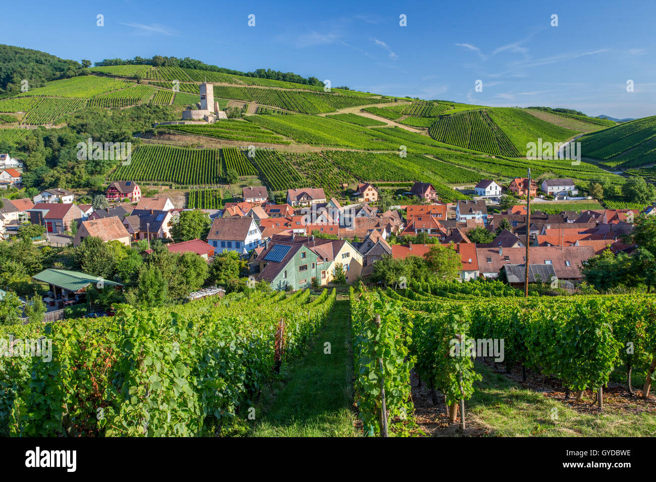Katzenthal Dorf und die umliegenden Weinberge an der Weinstraße im Elsass/Frankreich Stockfoto