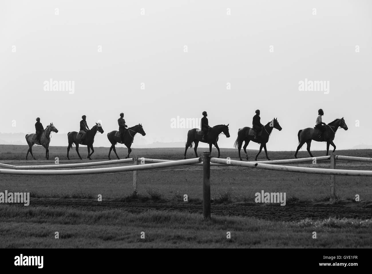 Rennen Pferde Reiter Silhouette Morgen Training Landschaft Stockfoto