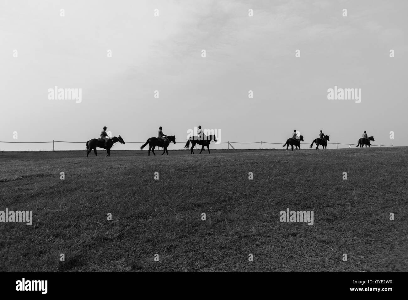 Reiterrinnen Schwarzweiss Stockfotos Und Bilder Seite 3 Alamy