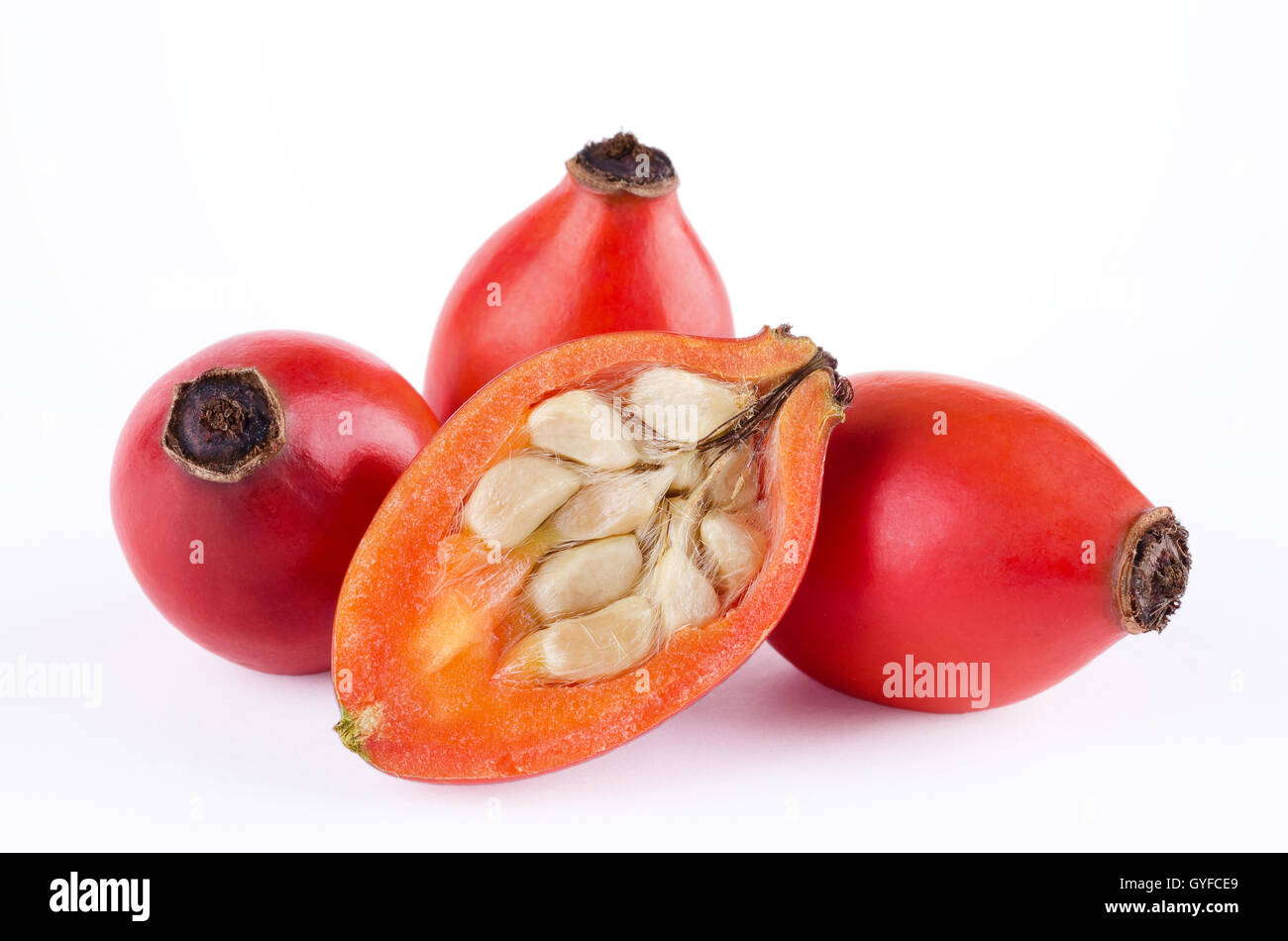 Hagebutten mit Obst Querschnitt über weiß. Rose Haw oder Rose hep. Reifen roten Früchten, Samen mit Haaren zeigen. Stockfoto