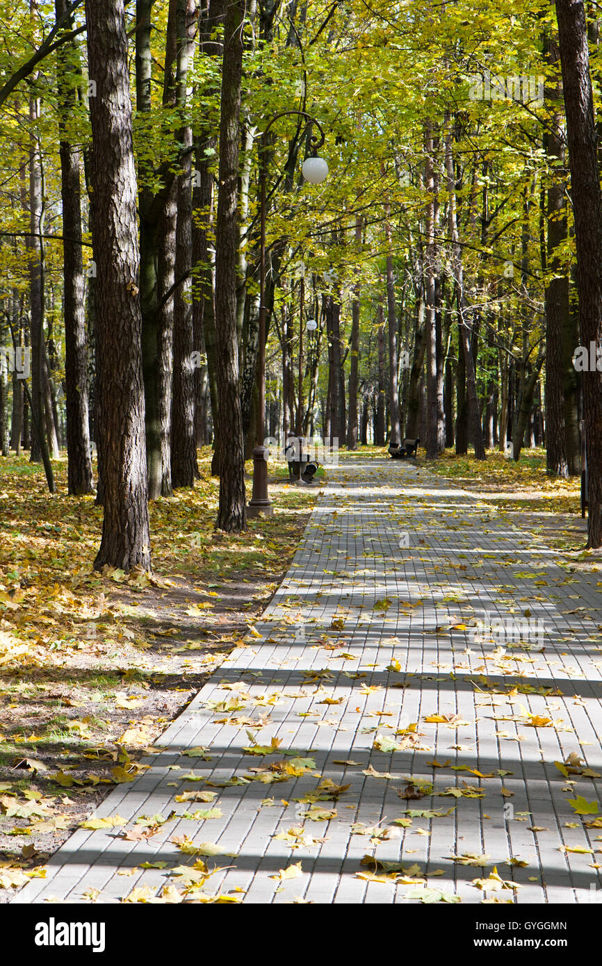 Wege der herbstlichen Park fallen unter den Sonnenschein Stockfoto