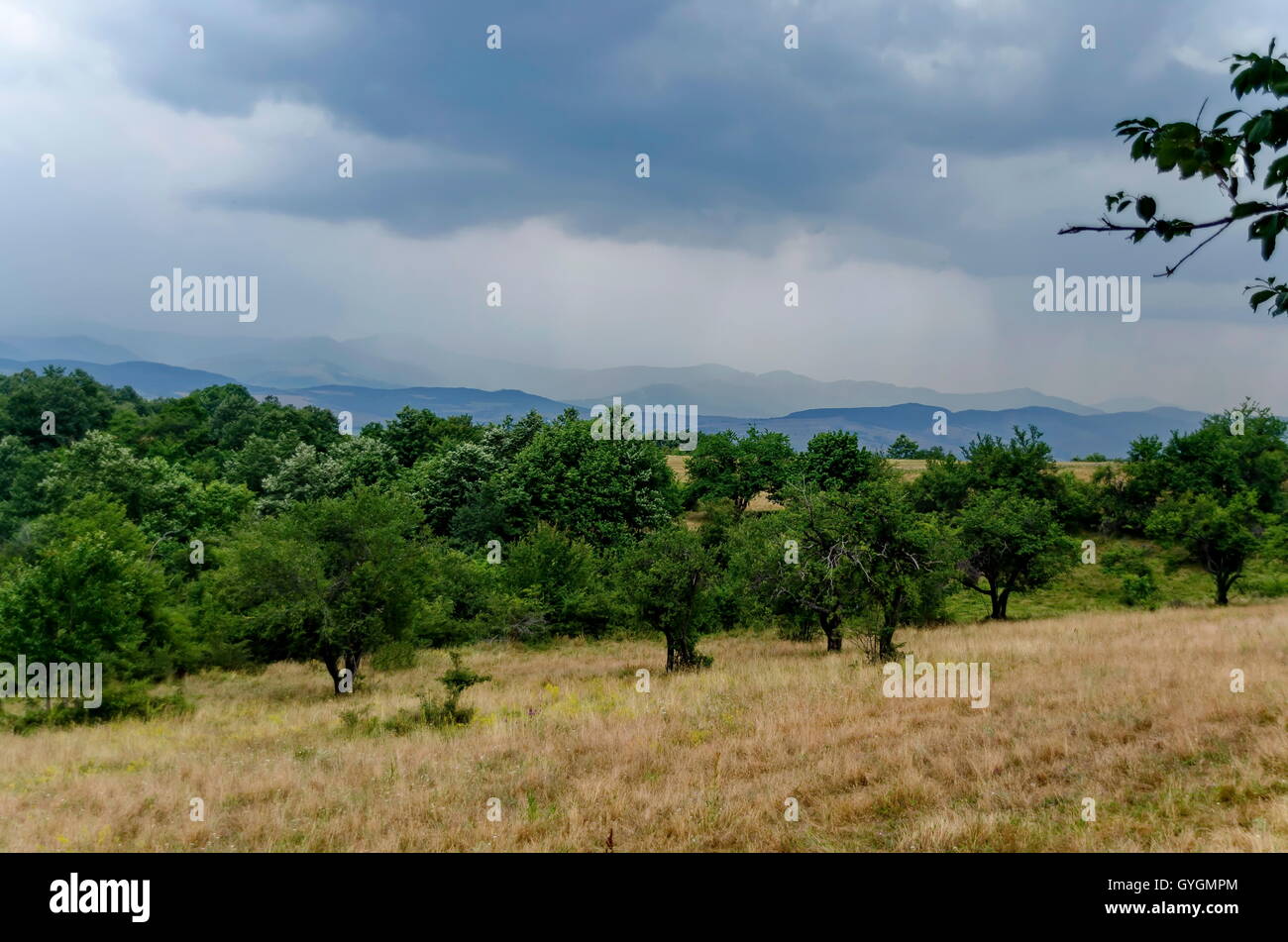 Landschaft mit Feld, Obstgarten und Berg Umgebung in der Nähe von Giginski Kloster, Bresnik, Pernik Region, Bulgarien Stockfoto