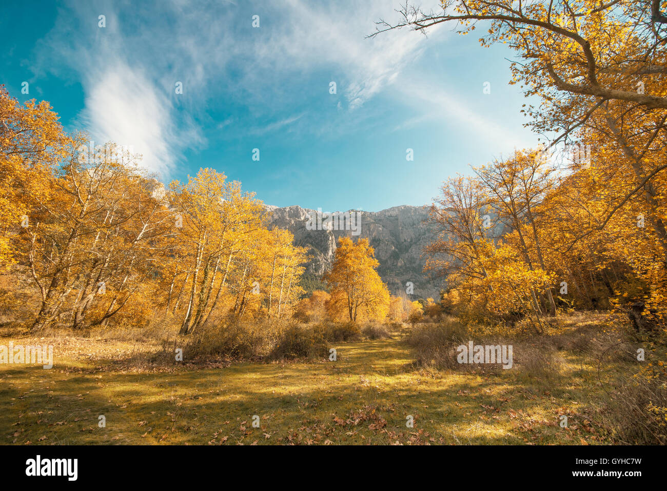 Herbstliche Landschaft mit dem blauen Himmel Stockfoto