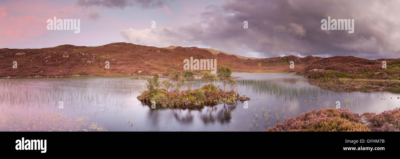 Baum-Insel am Dock Tarn in den Fjälls über Watendlath im englischen Lake District auf einen späteren Sommer Abend panorama Stockfoto