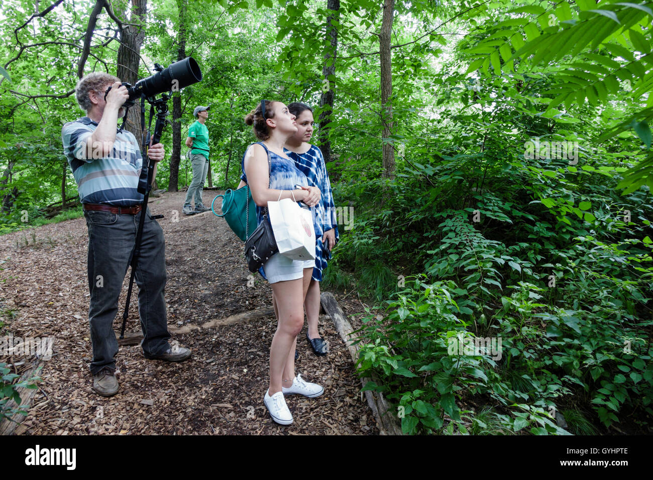 New York City, NY NYC, Upper Manhattan, Central Park, Stadtpark, Hallett Nature Sanctuary, Preserve, Trail, Woodland, Vegetation, Bäume, Erwachsene, Frau Stockfoto