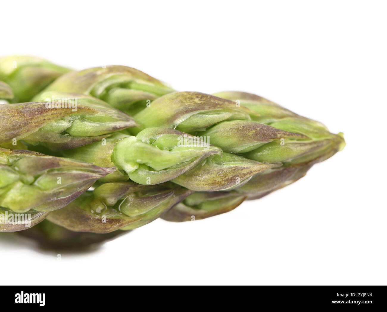 Nahaufnahme des oberen Spargel. Stockfoto