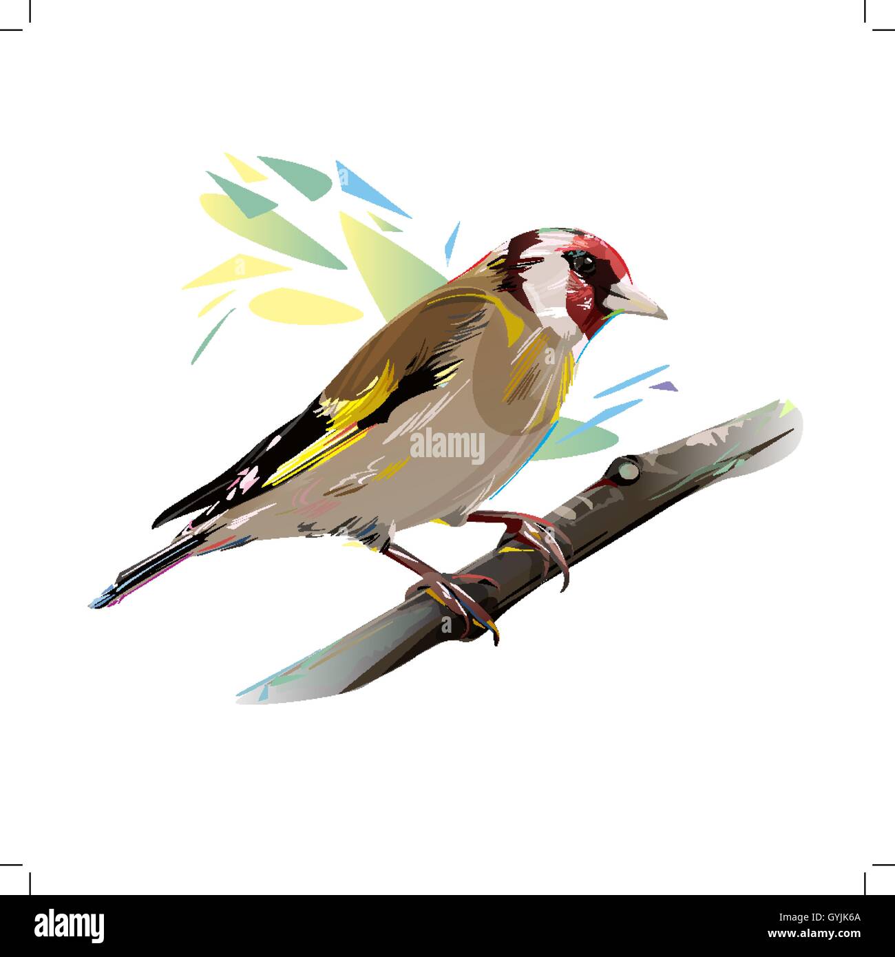 Stieglitz Vogel, Vektor-Illustration Stock Vektor