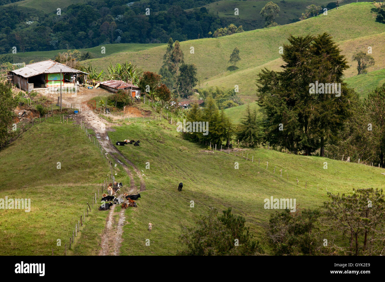 Blick auf das Dorf Filandia von Molina Lookout, Kolumbien. Finlandia, ist eine politische Gemeinde des Kaffee-Dreiecks. Colombi Stockfoto