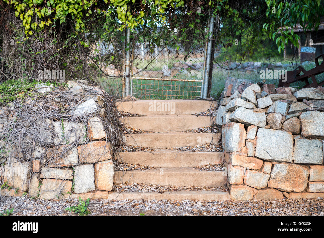 Alten Satz von Schritten mit Stein-Stützmauer und Zaun mit Reben Stockfoto