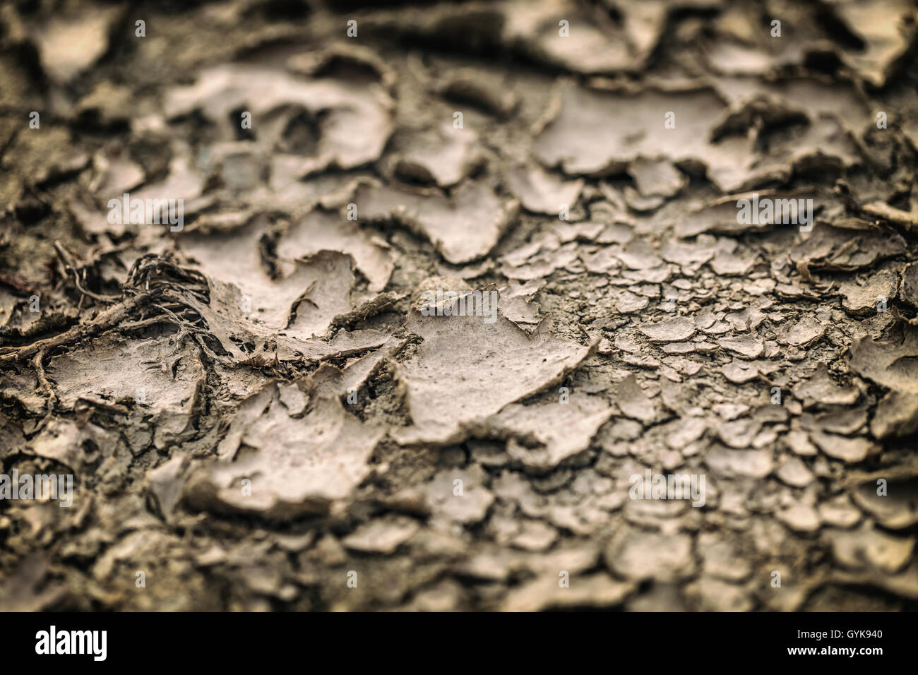 Dürre, Bodentextur und trockenen Schlamm eingeschliffen Stockfoto