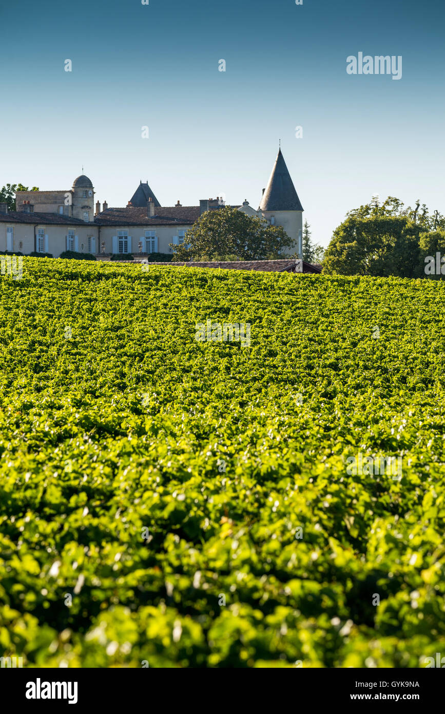 Weingut mit Dach des Chateau Mouton Rothschild, Medoc, Bordeaux, Frankreich, EU, Europa Stockfoto