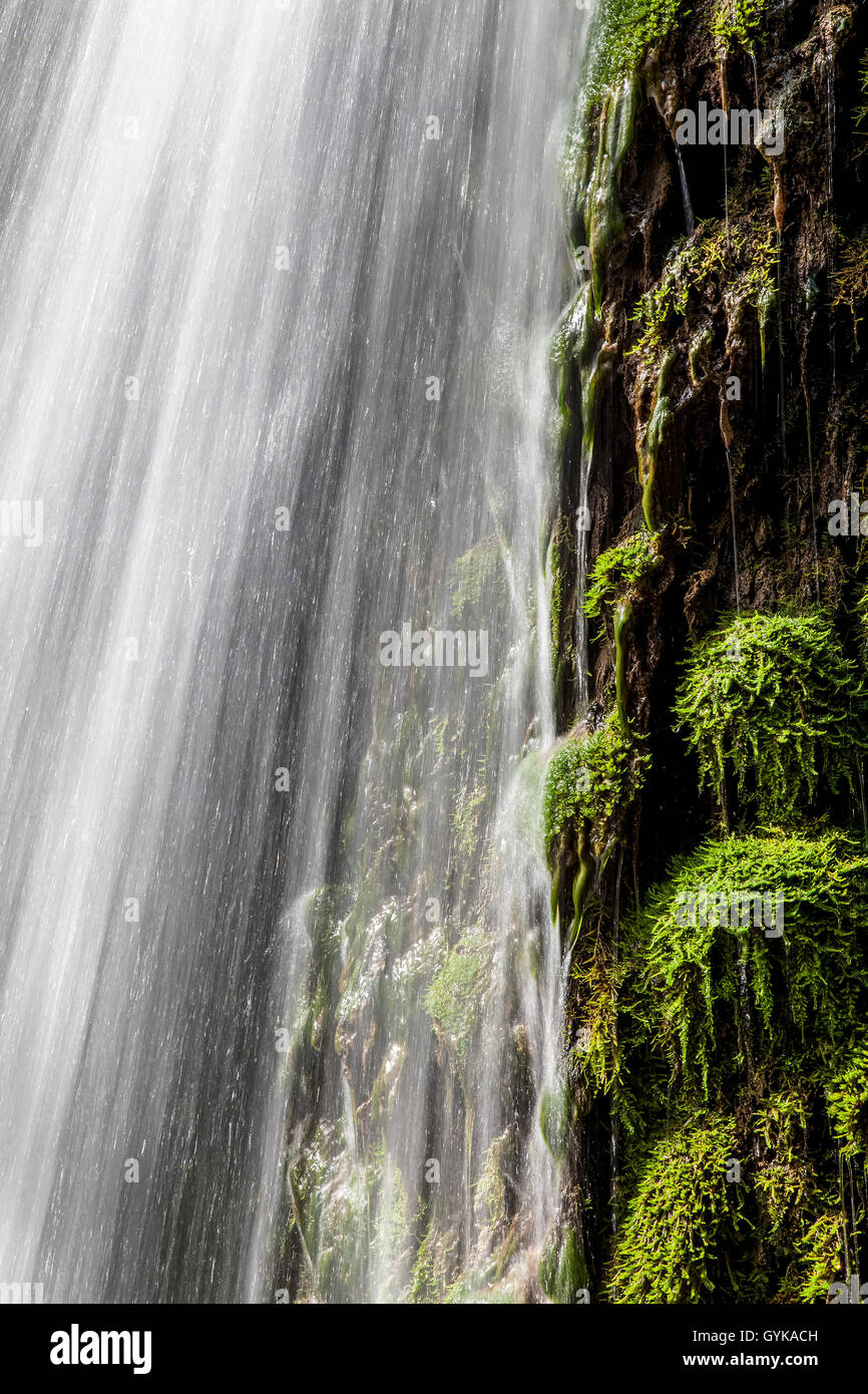 Frisches grünes Moos und bewegtes Wasser von einem wunderschönen Wasserfall Shooting mit langsamen Verschlusszeit Stockfoto