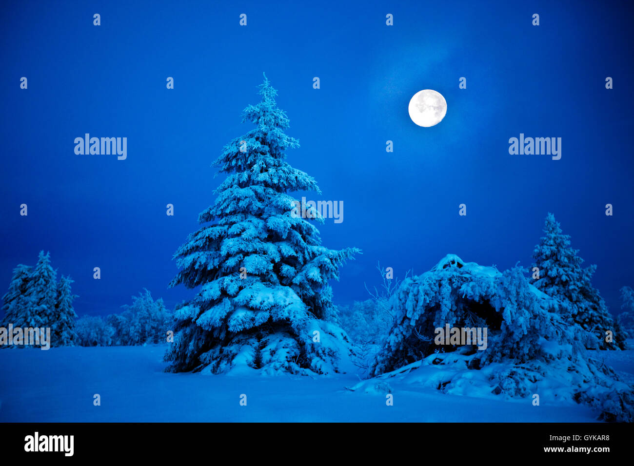 Winterliche Landschaft von Kahler Asten mit Vollmond, Deutschland, Nordrhein-Westfalen, Sauerland, Winterberg Stockfoto