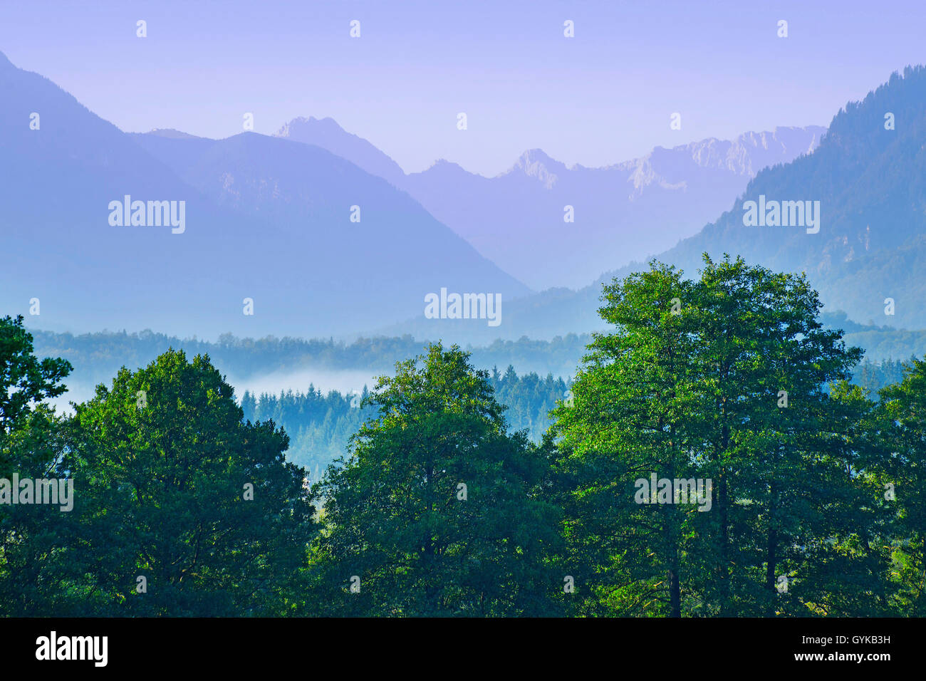Blick über die Murnau Moos in Richtung des Wettersteingebirges, Deutschland, Bayern, Oberbayern, Oberbayern Murnauer Moos Stockfoto