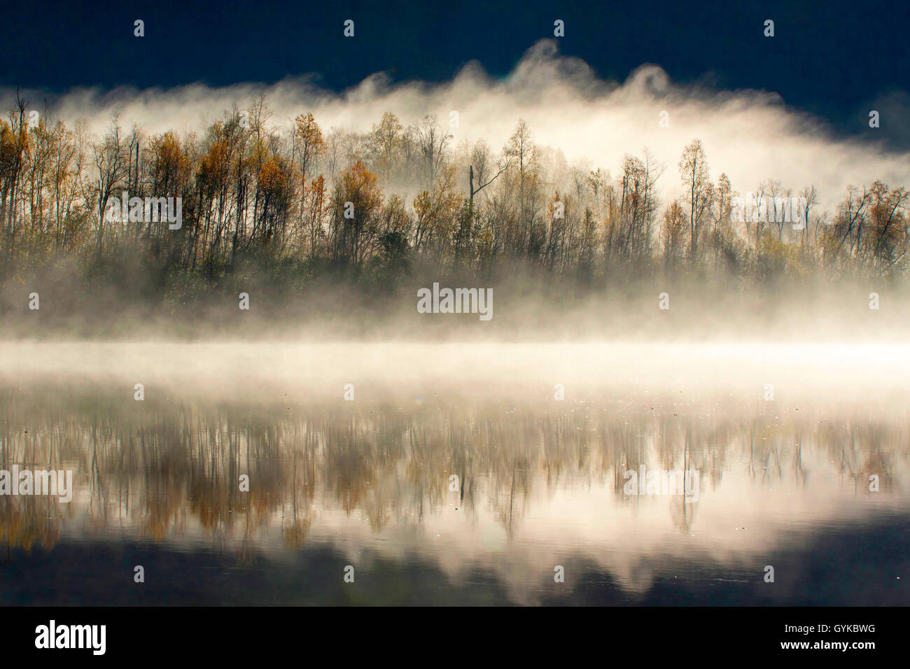 Morgen Reflexion am Fluss Barduelva, Norwegen, Troms, Bardu Stockfoto