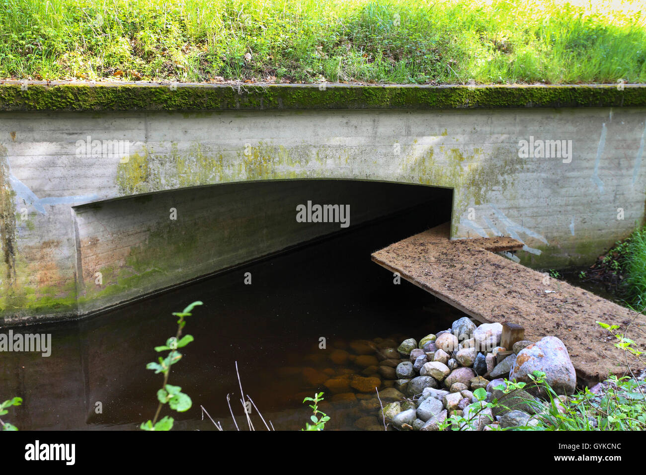 Europäische river Otter, Fischotter, Eurasische Fischotter (Lutra lutra), Natur schutz Messen für eine Straße überqueren, Deutschland Stockfoto