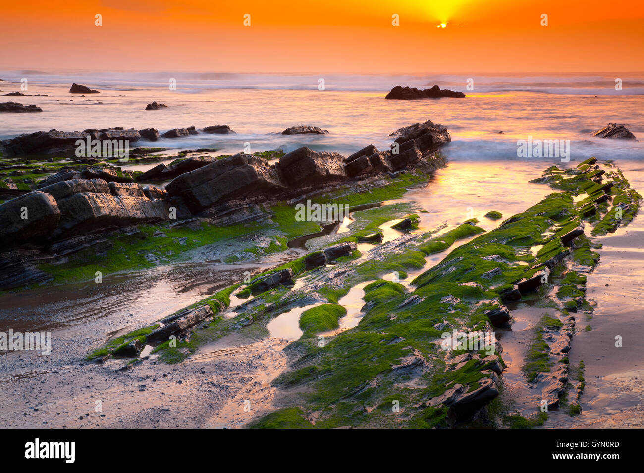 Küste bei Sonnenuntergang. Barrika Strand. Biskaya, Baskisches Land, Spanien. Stockfoto