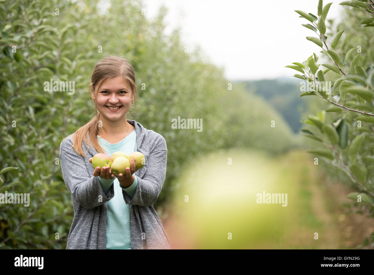 junges Mädchen Abholung grüne Äpfel Stockfoto