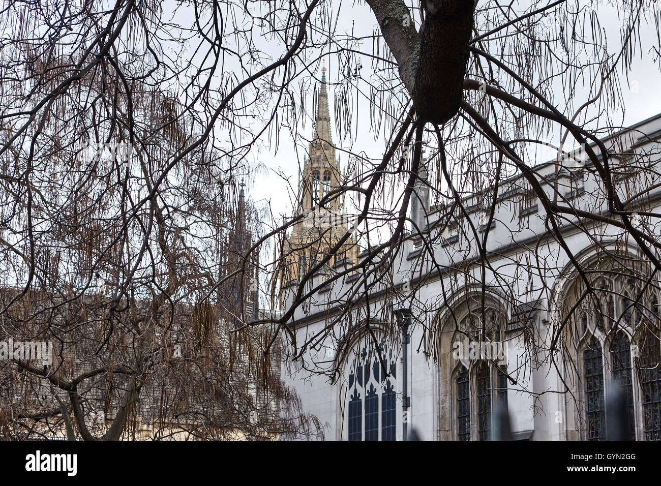 Schönen und ungewöhnlichen Blick auf Big Ben und Westminster Abby durch die Zweige eines Herbst alte Baum ohne Blätter. Stockfoto