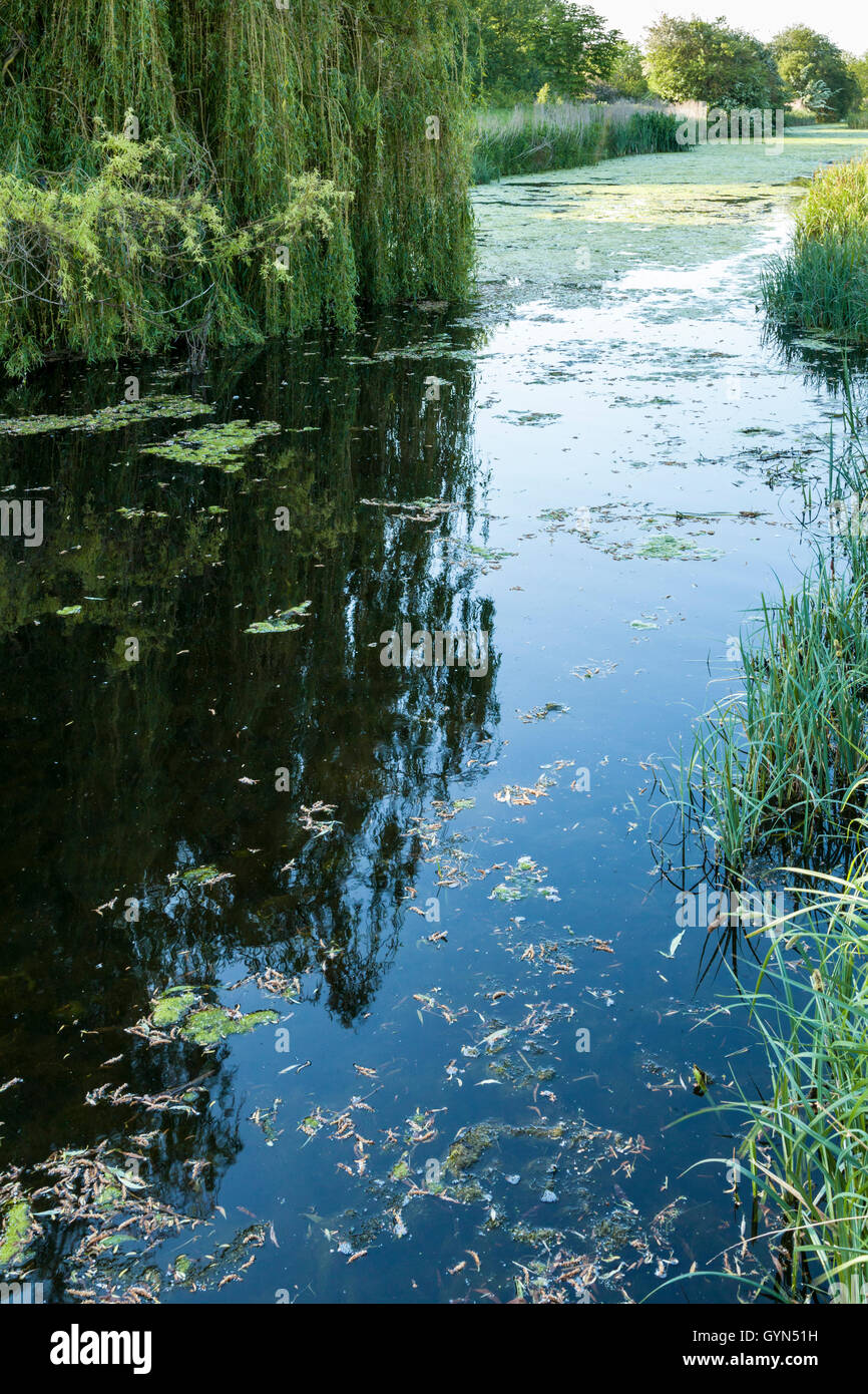 Die stillgelegte Grantham Canal, West Bridgford, Nottinghamshire, England, Großbritannien Stockfoto