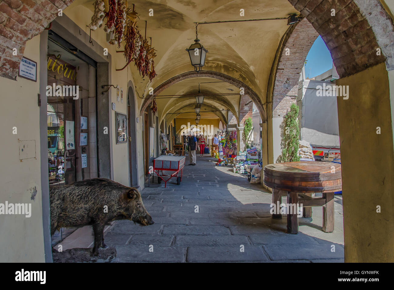 Antica Macelleria Falorni, befindet sich auf Piazza Matteotti von Greve in Chianti, behauptet, der älteste Metzger-Shop (Macelleria) Stockfoto