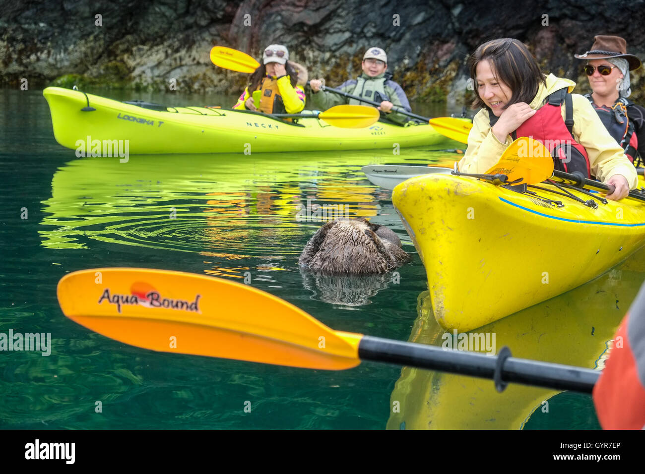 Alaska-Tourist und ein Seeotter Stockfoto