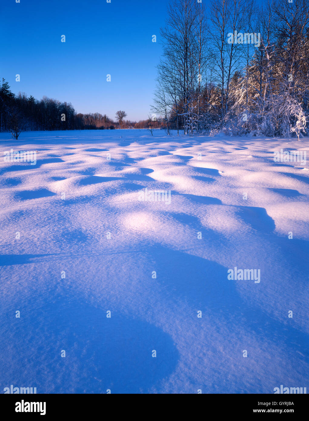 Berge von Neuschnee in Fish Lake State Wildlife Area, Wisconsin USA Stockfoto
