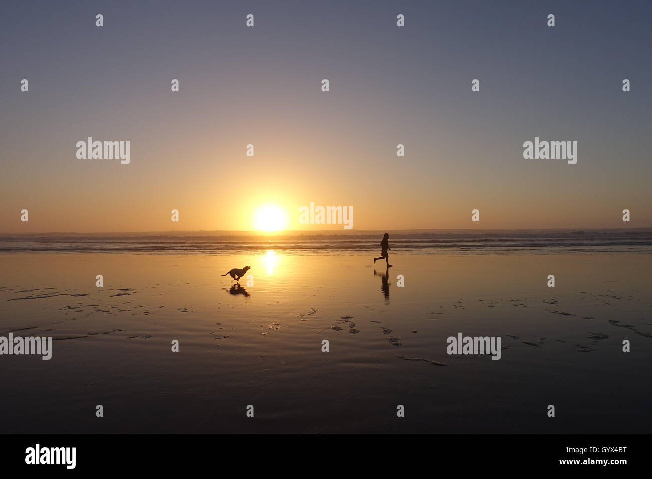 Hund jagt Mann am Strand kurz vor Sonnenuntergang Stockfoto