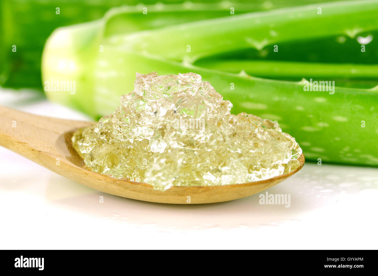 Reines Aloe Vera Gel auf Holzlöffel. Aloe Vera Gel verwenden fast in der Nahrung, Medizin und Schönheit Industrie. Stockfoto