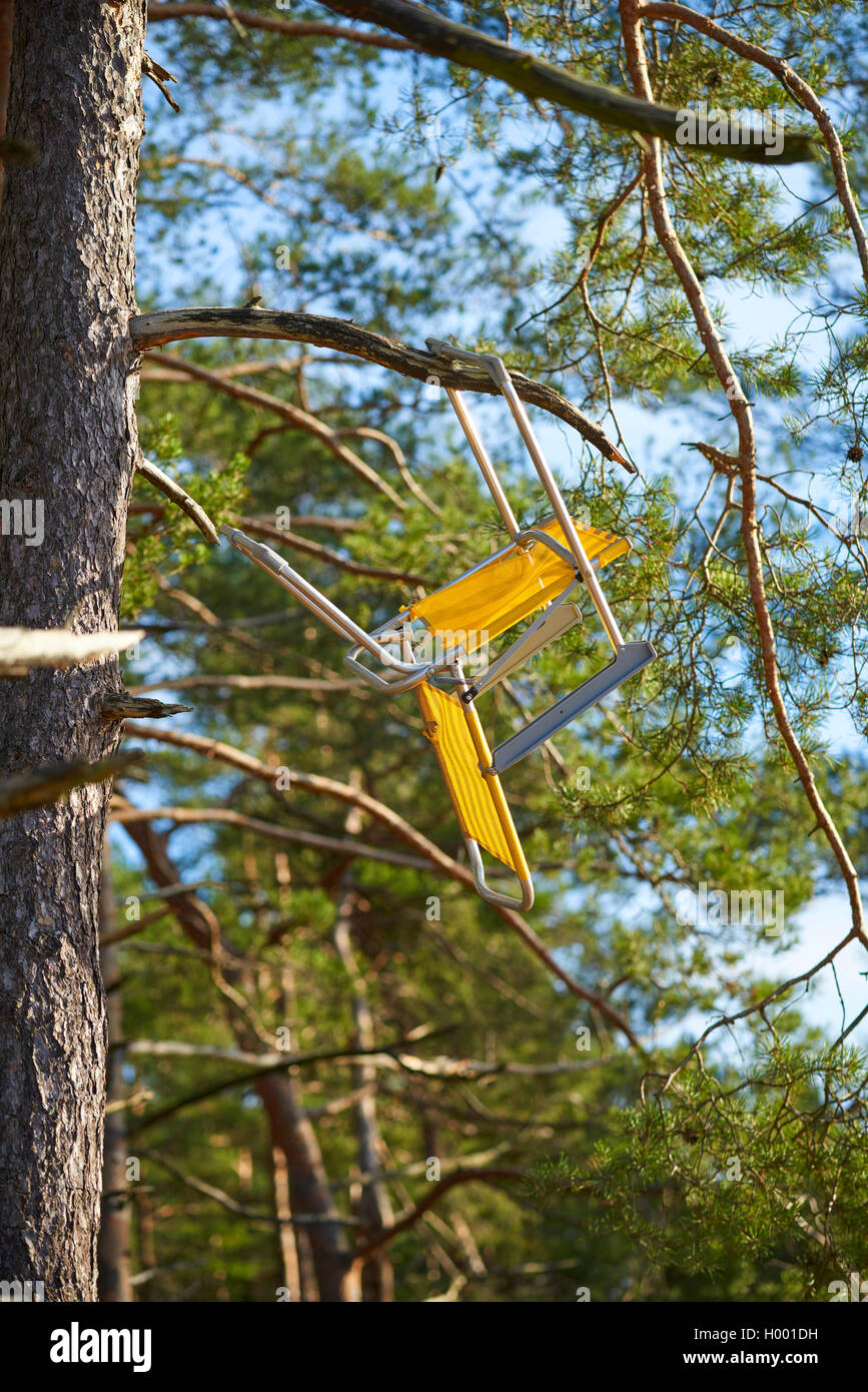 Camp Stuhl hängend an einem Baum, Deutschland Stockfoto