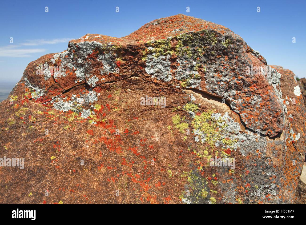 Flechten auf Felsen im Tal der Verwüstung, Südafrika, Eastern Cape, Camdeboo National Park Graaff-Reinet Stockfoto