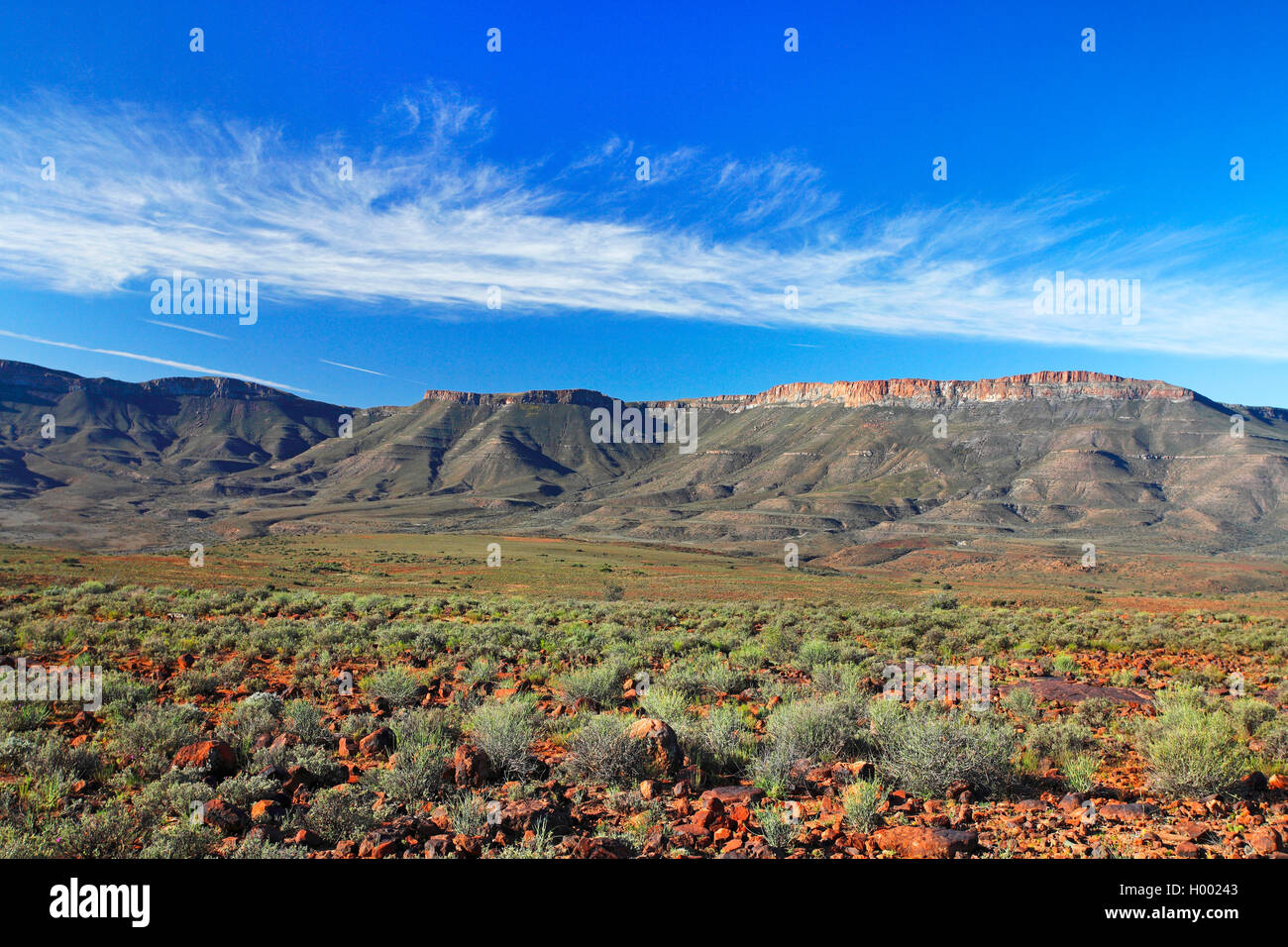 Karoo National Park, hoher Ebene vor Nuweveld Berge, Südafrika, Western Cape, Karoo National Park Stockfoto